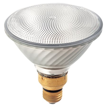 Halogen PAR38 Bulb