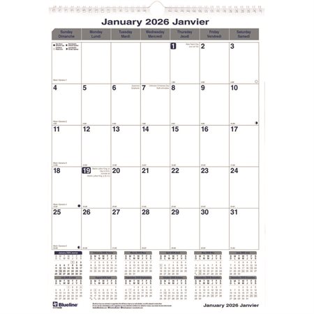 Net Zero Carbon™ Wall Calendar (2026)