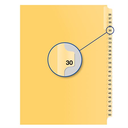 Individual Numerical Litigation Index Dividers