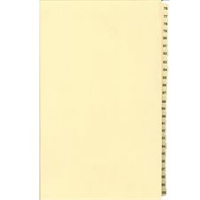 Numerical Litigation Index Dividers