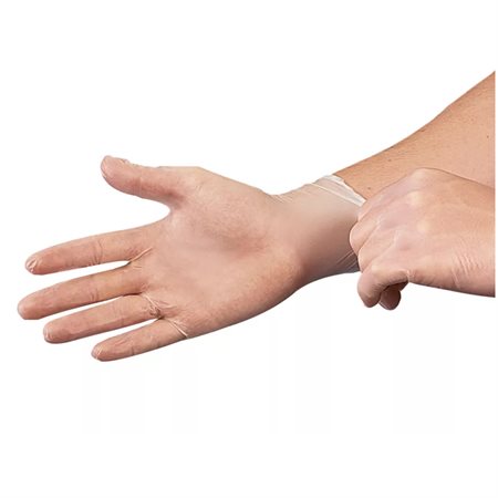 Disposable Vinyl Gloves