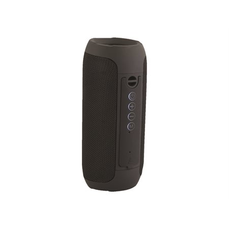 Portable Wireless Speaker