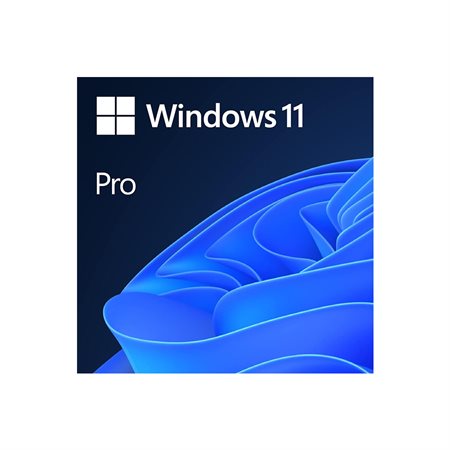 Microsoft OEM System Builder Windows 11 Pro